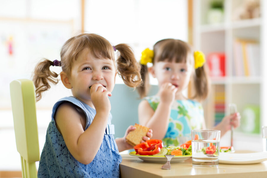 nutrition-in-early-childhood-a-critical-period-for-early-brain